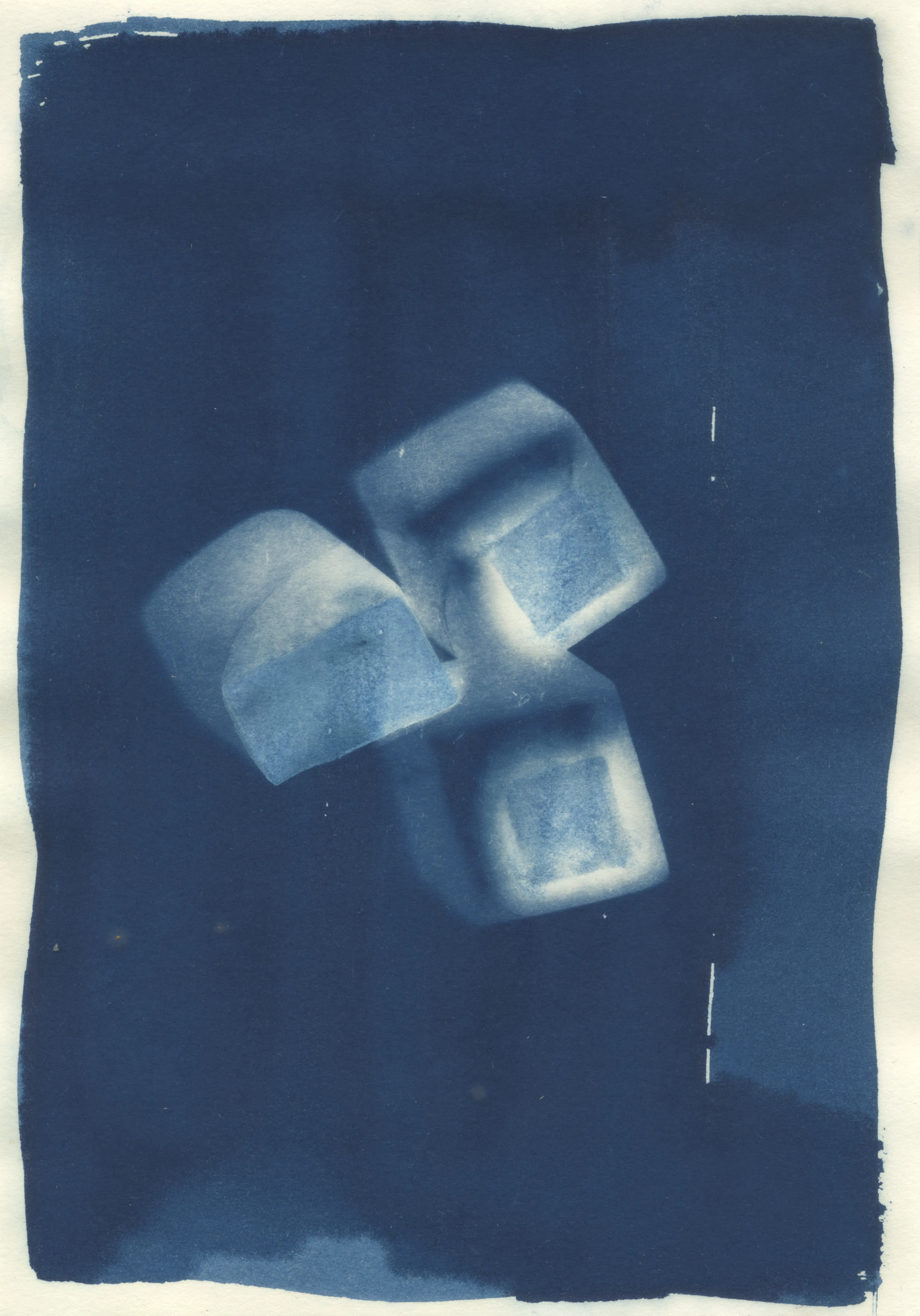 Cyanotype Prints