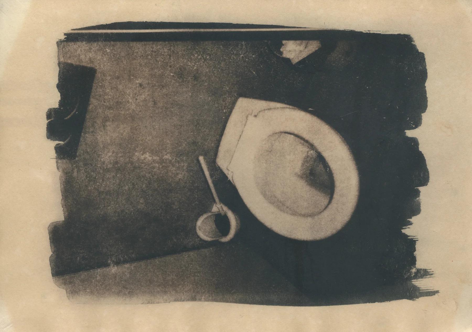 Cyanotype Studien: Motiv 5