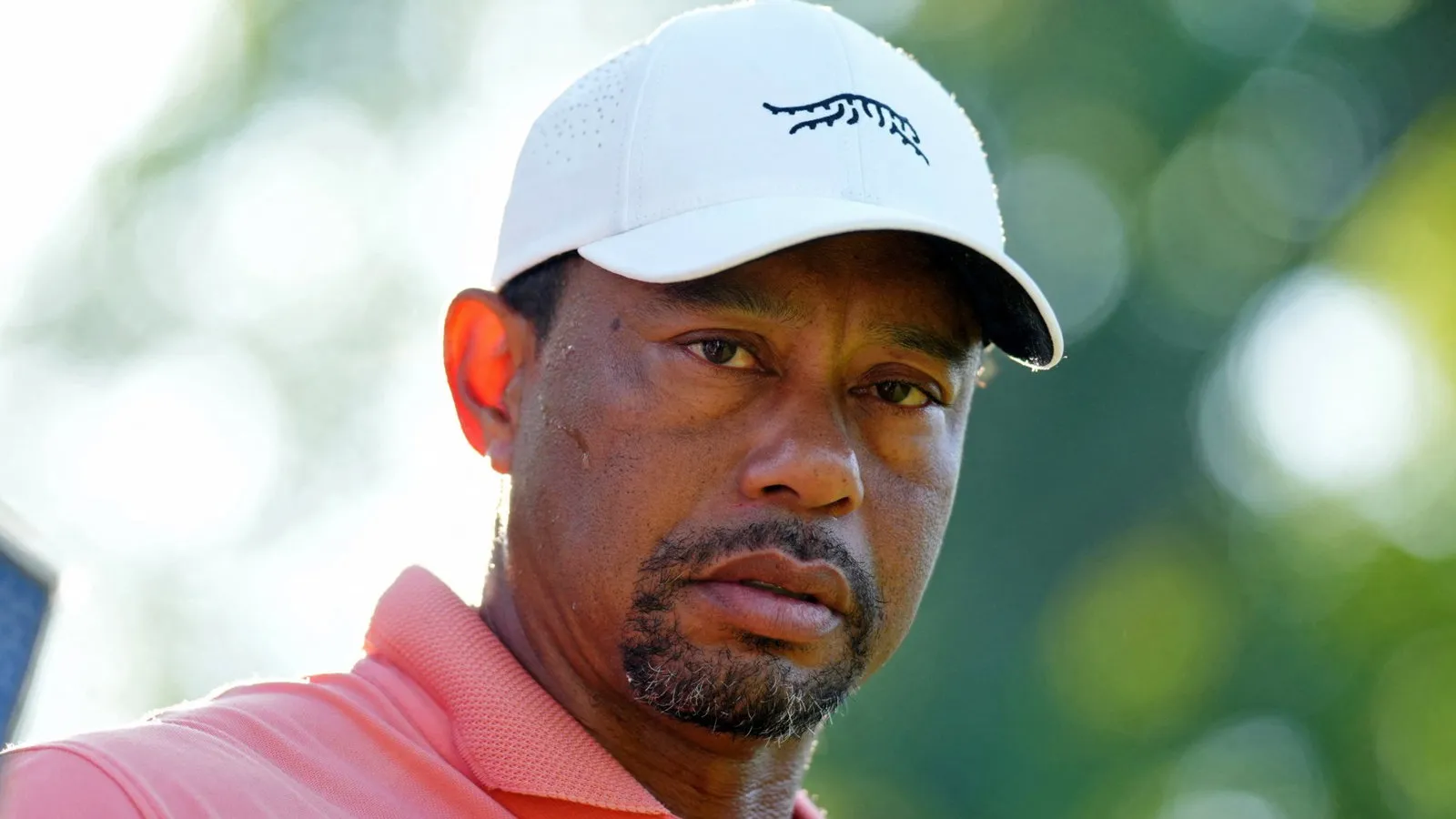 Tiger Woods, archiefbeeld