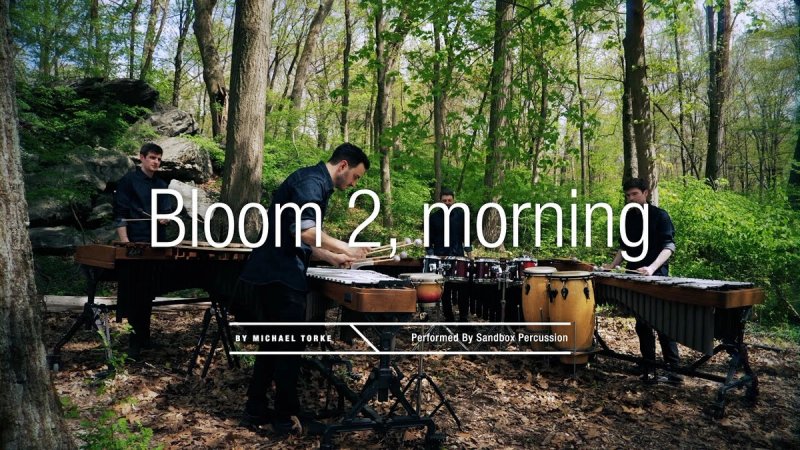 Bloom (video)