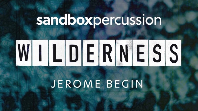 Wilderness (video)