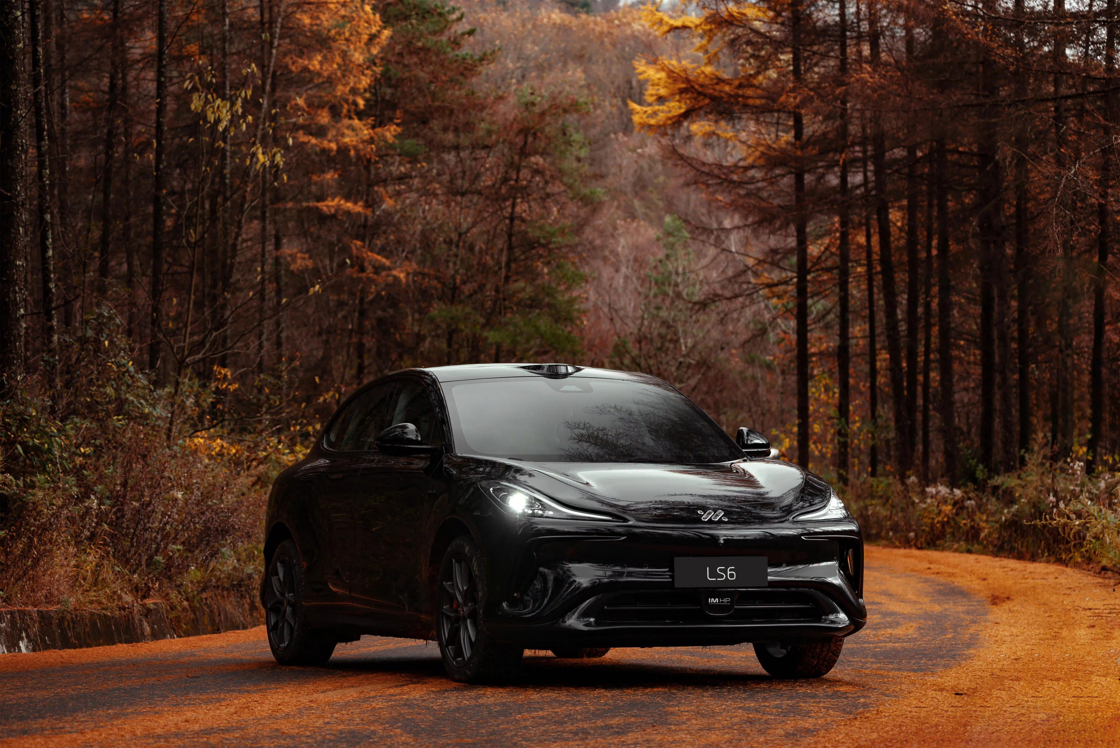 ls6 პრემიუმ ელექტრომობილი