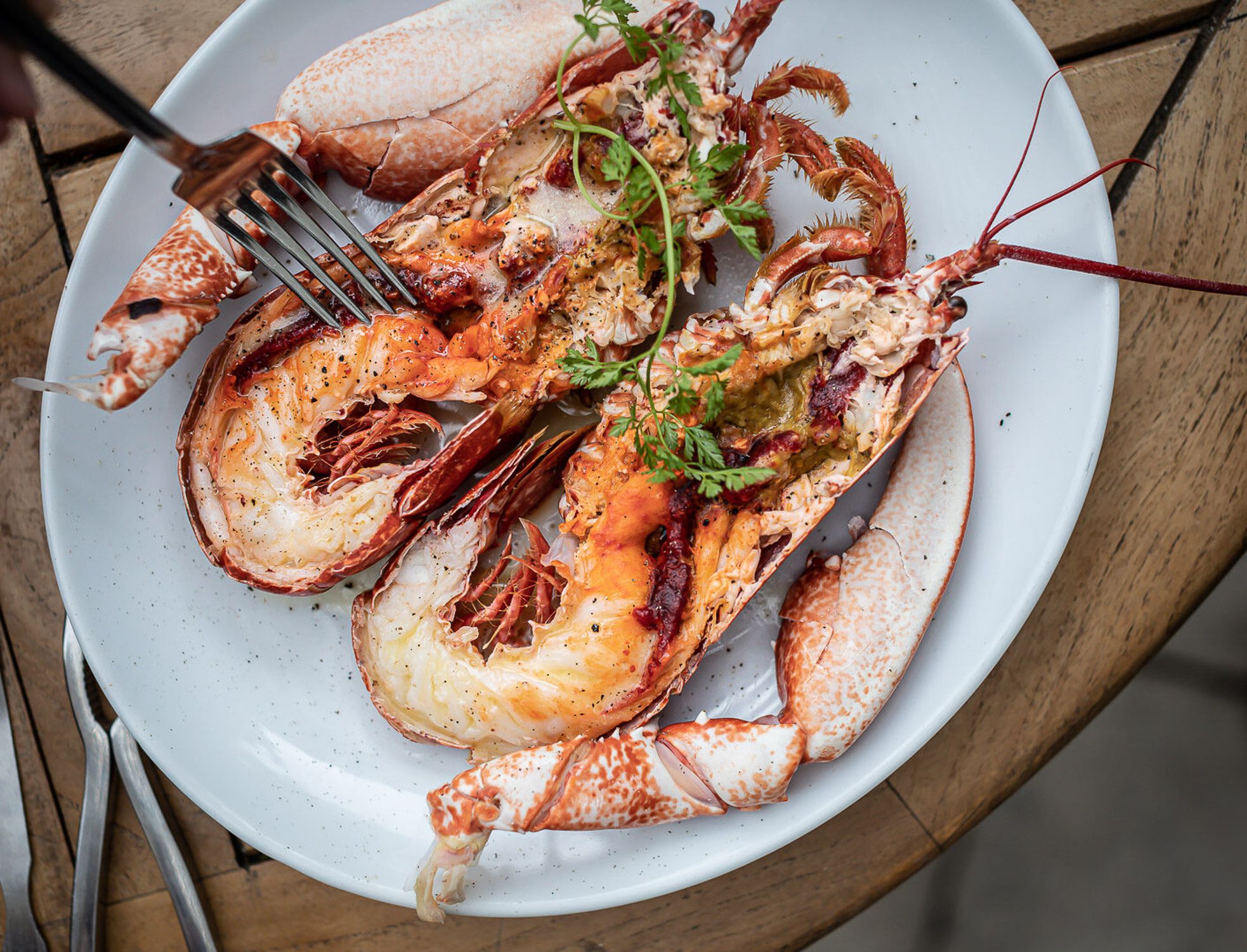 restaurant_la_cagouille_paris_plat