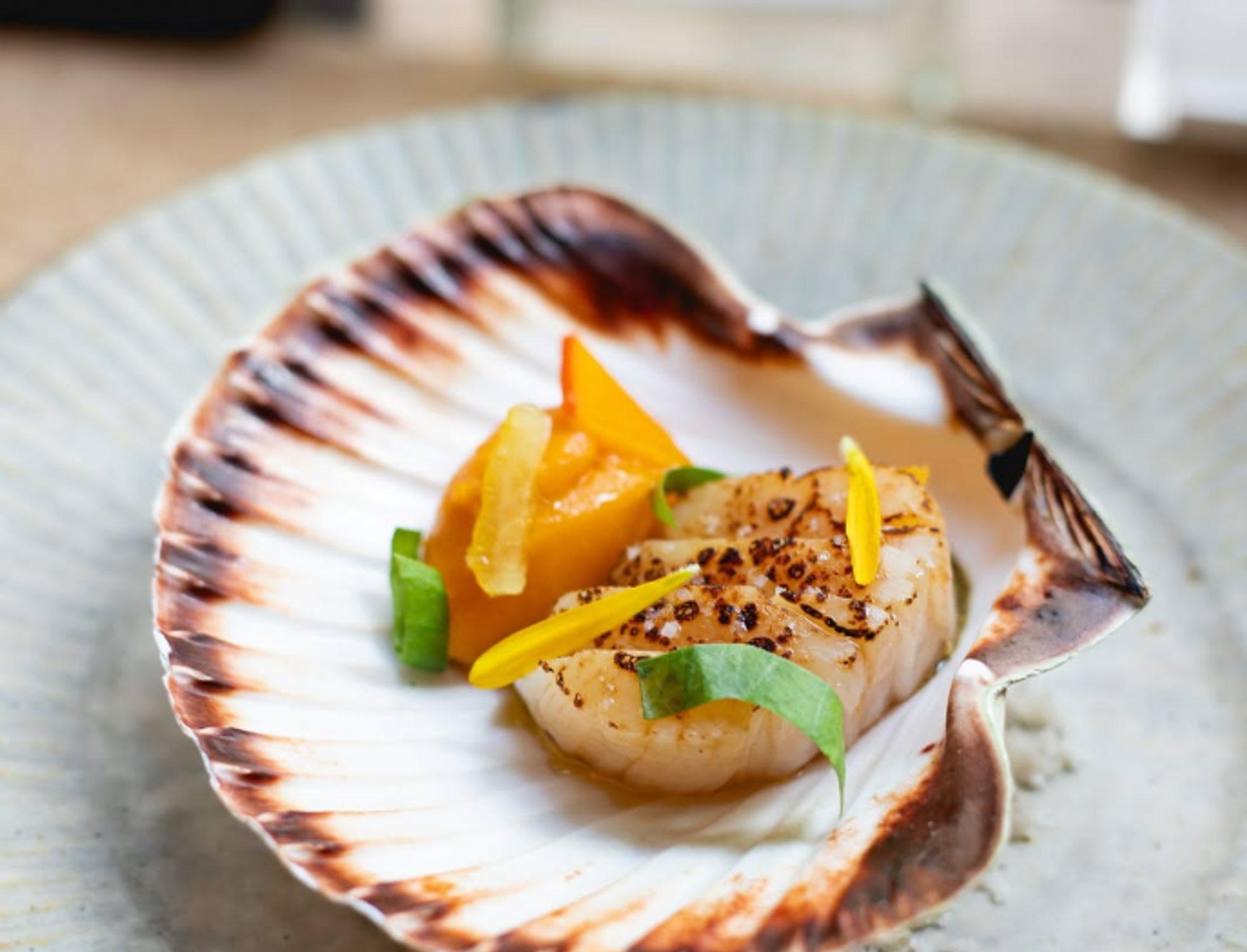 restaurant_dersou_paris_plat_coquilles_saint_jacques