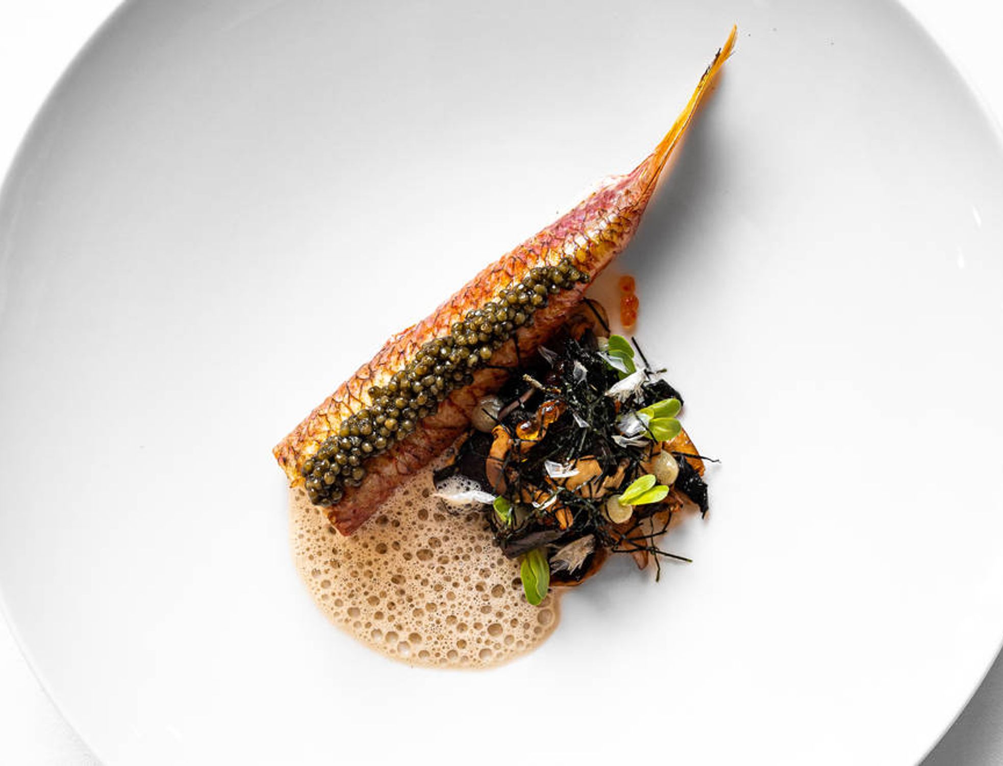 restaurant_lucas_carton_paris_plat_rouget