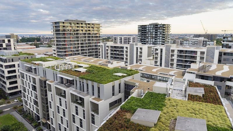 The Green Office: How HR Can Drive Sustainability in the Workplace