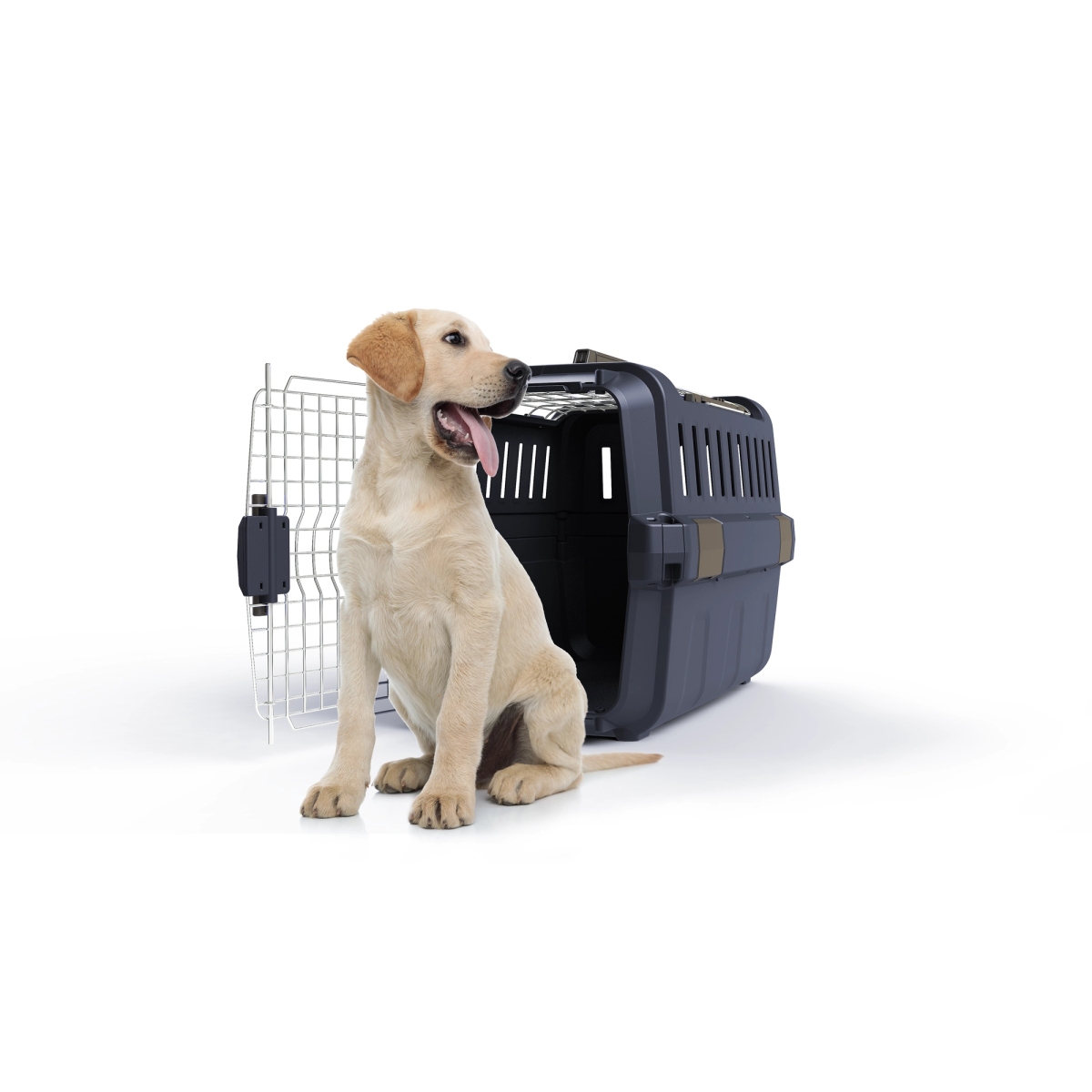 Odyssey pet carrier for dogs and cats by Moderna Products, IATA approved for air travel, open top design, available in 3 sizes, design for assembly, dog posing in front of cage