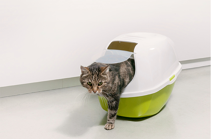 Comfy Cat litter box redesign by Moderna Products, reduced components, streamlined design, improved functionality, 30% reduction in logistical footprint, flip door