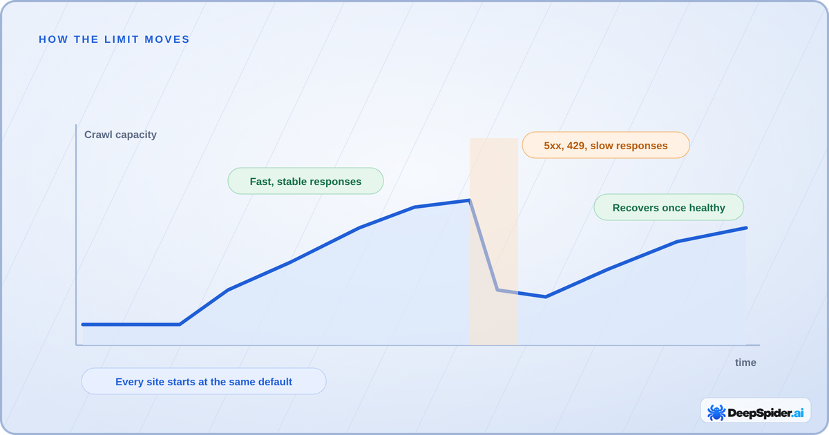 Crawl capacity starts at the same conservative default for every site, rises with fast stable responses, drops after server errors or 429 responses and recovers when the site is healthy again.