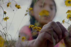 Film Screening — Gather: The Fight to Revitalize Our Native Foodways | Tinworks