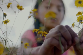 Film Screening | Tinworks