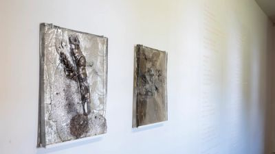 Invisible Prairie | Tinworks
