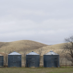 Roots in the Sky — Performance of The End of Rain by Scott Ordway | Tinworks