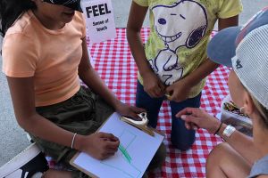 Summer Art Camp Ages 6 to 8