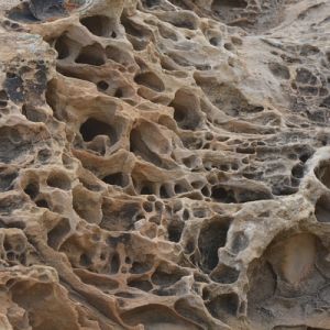 Montana Science Center @ Tinworks