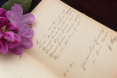 Artist Workshop — Vessels of Words & Fantastical Animals: A Poetry Writing Workshop with Rose DeMaris | Tinworks
