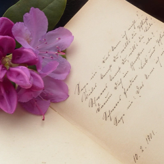Artist Workshop — Vessels of Words & Fantastical Animals: A Poetry Writing Workshop with Rose DeMaris | Tinworks
