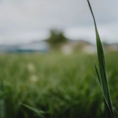 Workshop: Let Go! Improv for Overthinkers | Tinworks