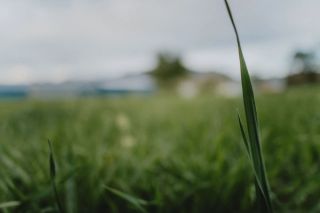 Let Go! An Improv Workshop for Overthinkers | Tinworks