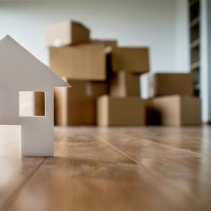 Saturday Family Workshop