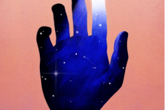 Roots in the Sky — Performance of Lucid Bodies | Tinworks