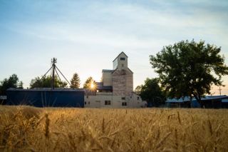 Agriculture as Art: Tinworks Artist Talk | Tinworks