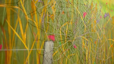 Invisible Prairie | Tinworks