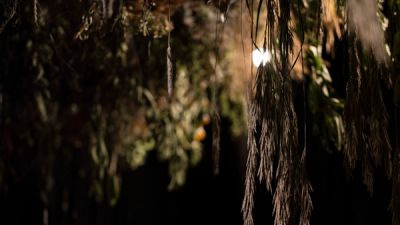 Invisible Prairie | Tinworks