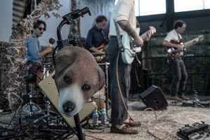 2025 End of Exhibition Celebration