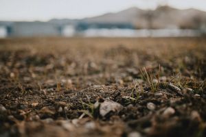 Land Acknowledgement