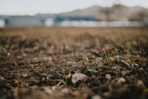 In Conversation: The Earth Beneath our Feet