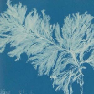 Saturday Family Workshop