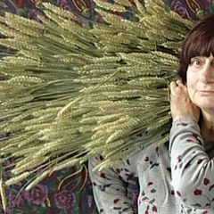 Film Screening — The Gleaners and I (Les glaneurs et La Glaneuse) | Tinworks