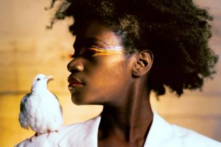 Through A Lens Darkly (2014) | Tinworks