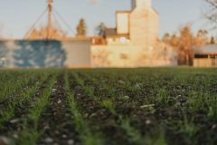 In Conversation: The Earth Beneath Our Feet — Wine and Soil: The Science and Magic of Terroir | Tinworks