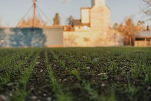 In Conversation: The Earth Beneath Our Feet