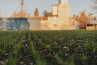 In Conversation: The Earth Beneath Our Feet | Tinworks