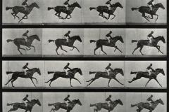 Workshop: Proto Animation — with Ellie from Bozeman Public Library | Tinworks
