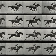 Workshop: Proto Animation — with Ellie from Bozeman Public Library | Tinworks