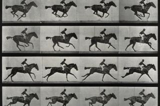 Workshop: Proto Animation | Tinworks