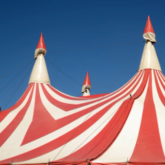 Free Movie Night: Le Grand Cirque | Tinworks