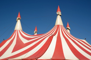 Free Movie Night: Le Grand Cirque | Tinworks
