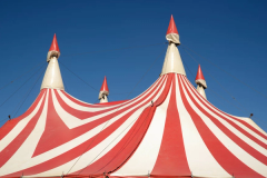 Cirquepalooza | Tinworks