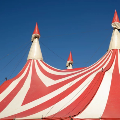 Cirquepalooza | Tinworks