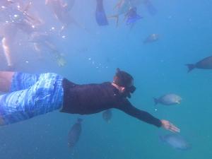 Underwater shot of man swimming with fish