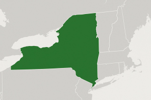 ChatGPT Image Jun 18, 2025, 12_42_07 PM.png