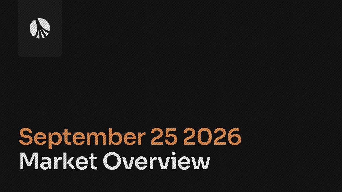 Rootstone branded graphic with the title 'Market Overview' displayed on a dark background.