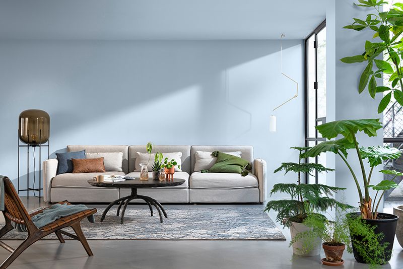 stue med blåmalte vegger og grå sofa, grønne planter i forgrunnen