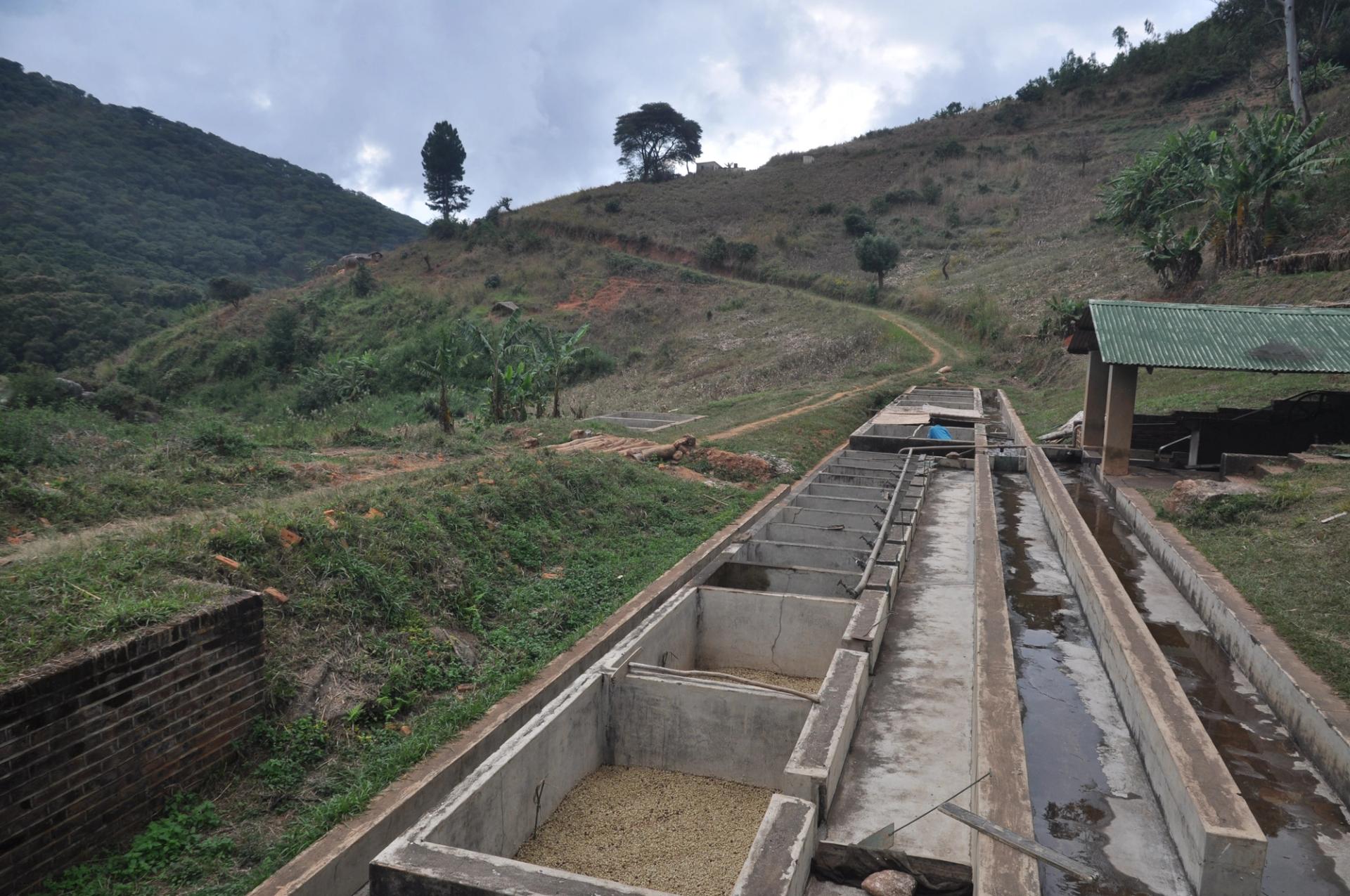 Photo éditoriale cacao/café — Wikimedia Commons