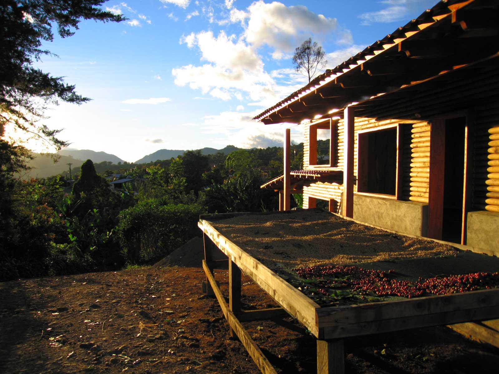 Photo éditoriale cacao/café — Wikimedia Commons